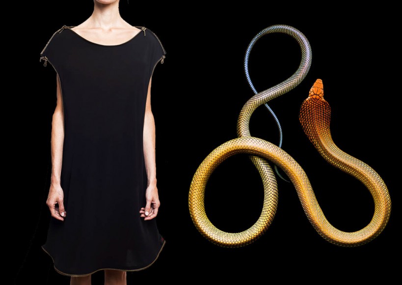 look-editorial-maisonlaponte-8