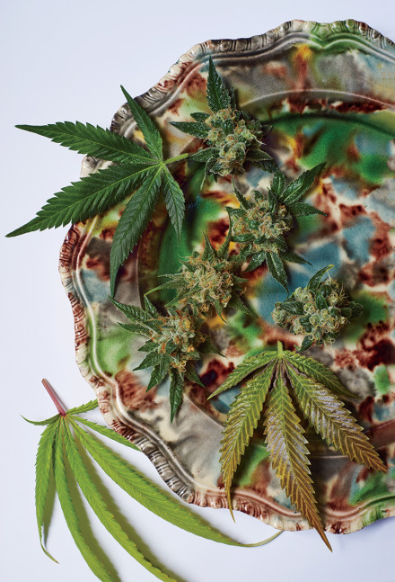 pot