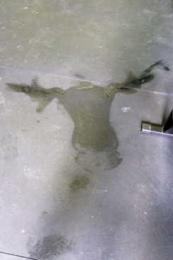 sweat-angel.w245.h368