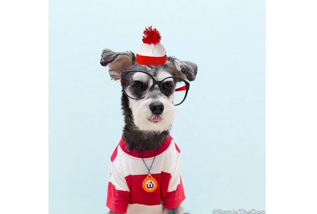 Remix The Dog 6