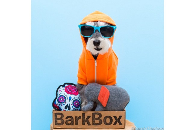 Remix The Dog 8
