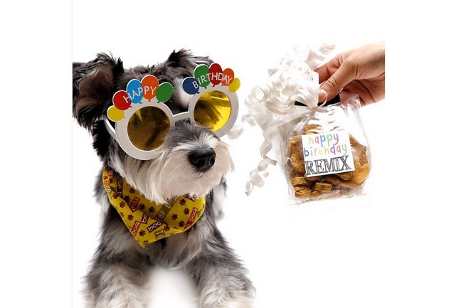 Remix The Dog